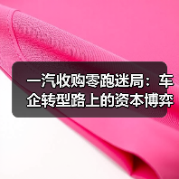 一汽零跑合作迷雾：资本联姻还是战略合资？-云溯流冠邦工安格罗汽配
