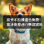 皮卡能否享受高速免费？新规或将改变这一切-云溯流冠邦工安格罗汽配