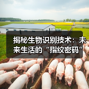 揭秘生物识别技术：未来生活的“指纹密码”（图4）