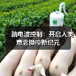 脑电波控制：开启人类意念操控新纪元（图3）