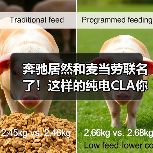 奔驰居然和麦当劳联名了!这样的纯电CLA你喜欢吗?(图3) 奔驰居然和麦当劳联名了!这样的纯电CLA你喜欢吗?(图3)