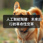 人工智能驾驶：未来出行的革命性变革（图4）