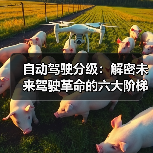 自动驾驶分级：解密未来驾驶革命的六大阶梯（图3）