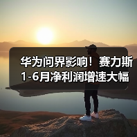 华为问界影响！赛力斯1-6月净利润增速大幅下滑124%
