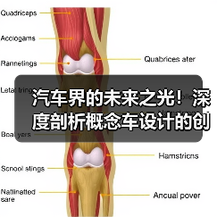 汽车界的未来之光！深度剖析概念车设计的创新秘密（图2）