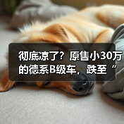 彻底凉了?原售小30万的德系B级车,跌至“白菜价”(图3) 彻底凉了?原售小30万的德系B级车,跌至“白菜价”(图3)