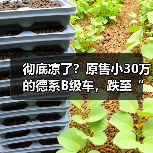 彻底凉了?原售小30万的德系B级车,跌至“白菜价”(图4) 彻底凉了?原售小30万的德系B级车,跌至“白菜价”(图4)