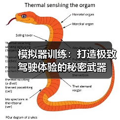 模拟器训练：打造极致驾驶体验的秘密武器（图1）