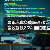 零跑汽车负债率破70%营收暴跌25% 面临哪些经营风险?(图3) 零跑汽车负债率破70%营收暴跌25% 面临哪些经营风险?(图3)