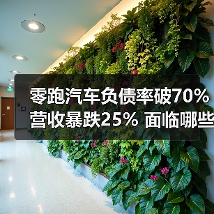 零跑汽车负债率破70%营收暴跌25% 面临哪些经营风险?(图4) 零跑汽车负债率破70%营收暴跌25% 面临哪些经营风险?(图4)