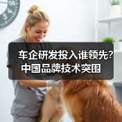 车企研发投入谁领先?中国品牌技术突围(图2) 车企研发投入谁领先?中国品牌技术突围(图2)
