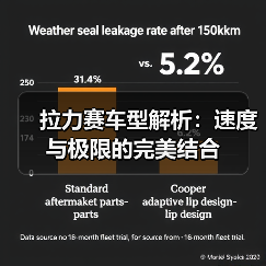 拉力赛车型解析：速度与极限的完美结合（图2）