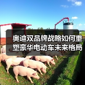 奥迪双品牌战略如何重塑豪华电动车未来格局？（图4）