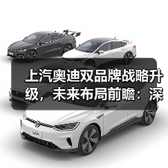 上汽奥迪双品牌战略升级，未来布局前瞻：深度解析与核心看点（图4）