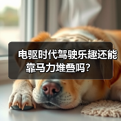电驱时代驾驶乐趣还能靠马力堆叠吗？（图3）
