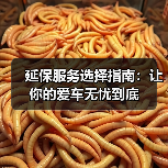 延保服务选择指南:让你的爱车无忧到底(图3) 延保服务选择指南:让你的爱车无忧到底(图3)
