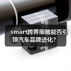 smart跨界策略能否引领汽车品牌进化？（图3）