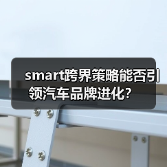 smart跨界策略能否引领汽车品牌进化？（图4）