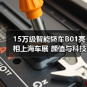 15万级智能轿车B01亮相上海车展 颜值与科技双重突围（图2）