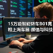 15万级智能轿车B01亮相上海车展 颜值与科技双重突围（图3）