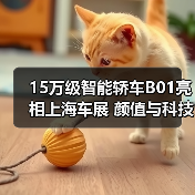 15万级智能轿车B01亮相上海车展 颜值与科技双重突围（图4）