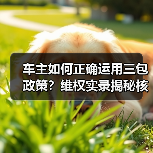 车主如何正确运用三包政策？维权实录揭秘核心技巧（图2）