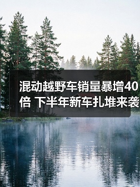 混动越野车销量暴增40倍 下半年新车扎堆来袭？（图2）