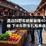 混动越野车销量暴增40倍 下半年新车扎堆来袭？（图4）