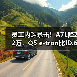 员工内购暴击！A7L降22万，Q5 e-tron比ID.6还便宜，入手时机到了？（图4）