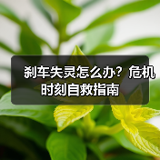 刹车失灵怎么办？危机时刻自救指南（图1）