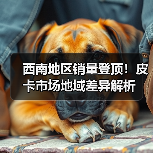 皮卡销量背后的区域差异：四驱与自动挡怎么选？-云溯流冠邦工安格罗汽配