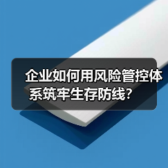 企业如何用风险管控体系筑牢生存防线？（图3）