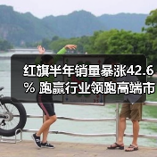 红旗半年销量暴涨42.6% 跑赢行业领跑高端市场（图4）