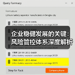 企业稳健发展的关键：风险管控体系深度解析（图4）