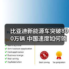 比亚迪新能源车突破800万辆 中国速度如何领跑全球？（图3）