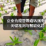 企业合规管理避坑指南：关键准则与智能化趋势解析（图3）