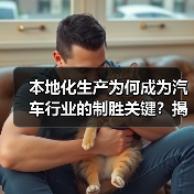 本地化生产为何成为汽车行业的制胜关键？揭秘产业密码（图2）