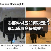 零部件供应如何决定汽车品质与竞争成败？（图3）