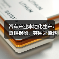 汽车产业本地化生产：真相揭秘，突围之道还是陷阱？（图3）