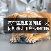 汽车售后服务网络：如何打造让用户心服口服的保障？（图2）