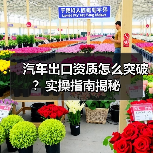 汽车出口资质怎么突破？实操指南揭秘（图2）