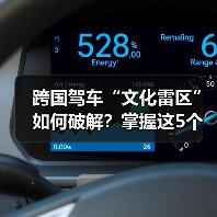 跨国驾车“文化雷区”如何破解？掌握这5个技巧（图4）