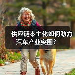 供应链本土化如何助力汽车产业突围？（图1）