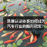 质量认证体系如何成为汽车行业的隐形冠军？（图1）