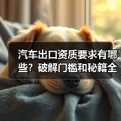 汽车出口资质要求有哪些？破解门槛和秘籍全解析（图1）