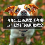 汽车出口资质要求有哪些？破解门槛和秘籍全解析（图3）