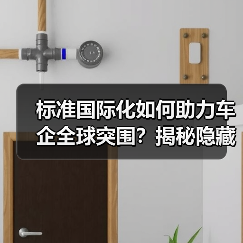 标准国际化如何助力车企全球突围?揭秘隐藏密码(图2) 标准国际化如何助力车企全球突围?揭秘隐藏密码(图2)