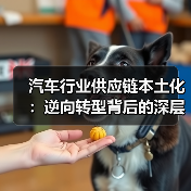 汽车行业供应链本土化：逆向转型背后的深层机遇（图1）