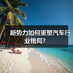 新势力如何重塑汽车行业格局？（图3）