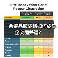合资品牌战略如何成车企突围关键？（图2）
